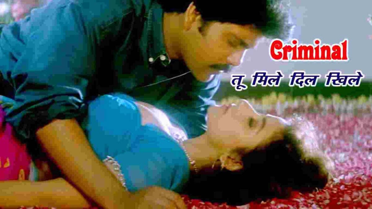 tu mile dil khile hindi romantic song lyrics in hindi at just lyrics